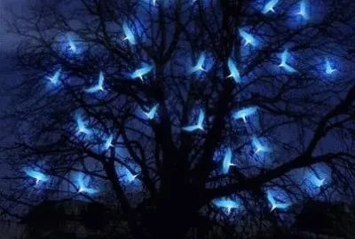 blanc bleu