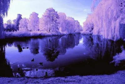 paysage