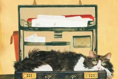 Gatos