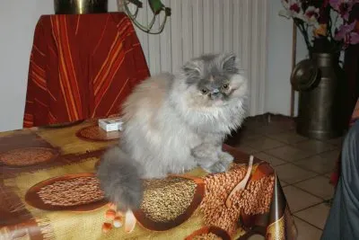 MARSU