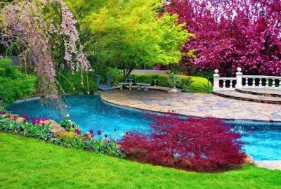 jardin