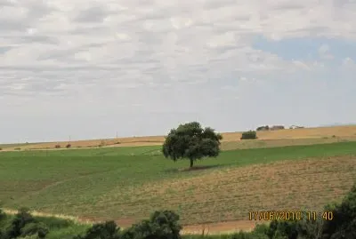 tuscia