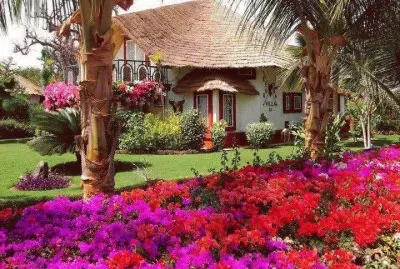 maison