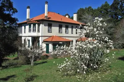 FaraÃ³n