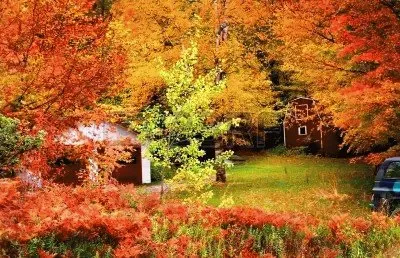 hermoso jigsaw puzzle