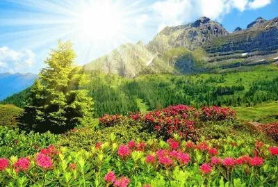 natureza