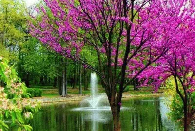 natureza