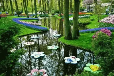 natureza