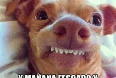 Dientitos jigsaw puzzle