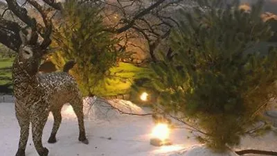 פאזל של é¢¨æ™¯