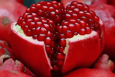 Pomegranate