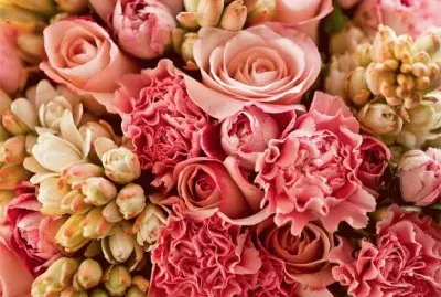 rosas rosa jigsaw puzzle