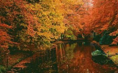 tunel jigsaw puzzle