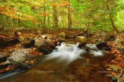 amarillo jigsaw puzzle