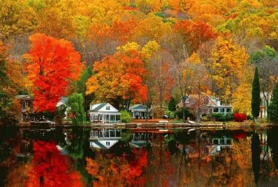 beauty jigsaw puzzle