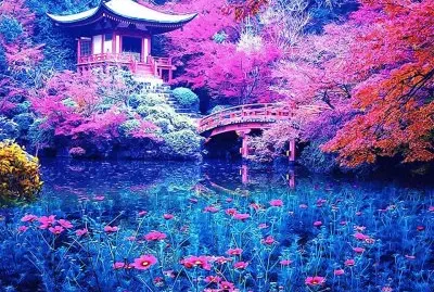jardin japonais