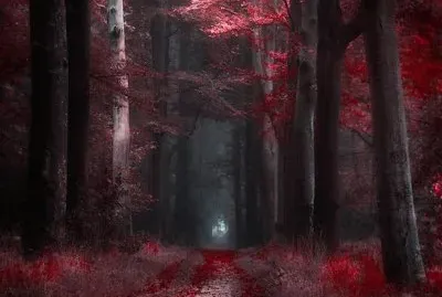 foret rouge