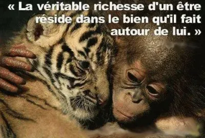 citation