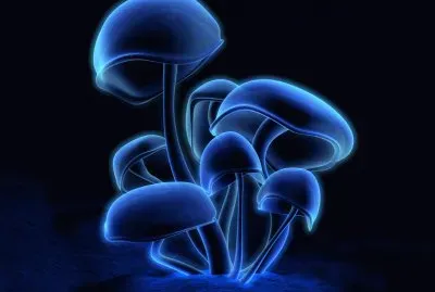 פאזל של Blue Mushrooms