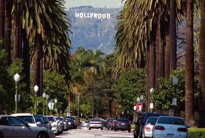 Palm Tree Lined Street-Hollywood jigsaw puzzle