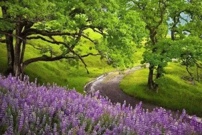 natureza jigsaw puzzle