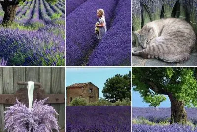 paisagem jigsaw puzzle