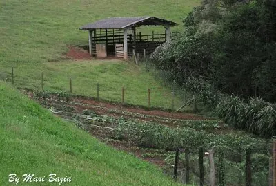 HORTA
