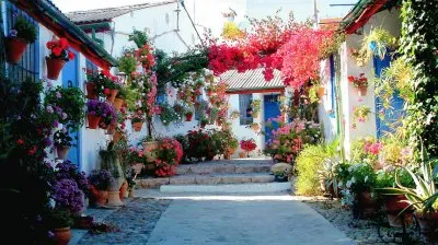 Street in Andalucia  Spain