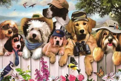 animais jigsaw puzzle