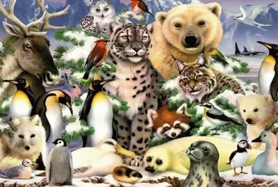 animais jigsaw puzzle