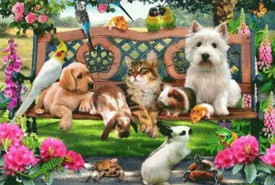 animais