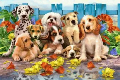 animais jigsaw puzzle