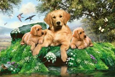 פאזל של animais