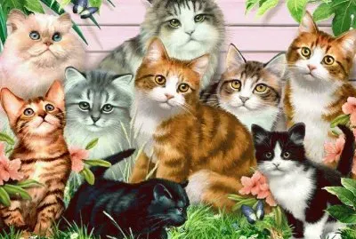 animais