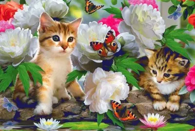 animais jigsaw puzzle