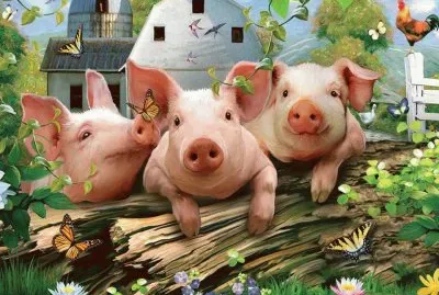 animais