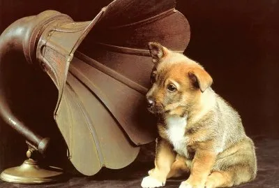 Marco.A jigsaw puzzle