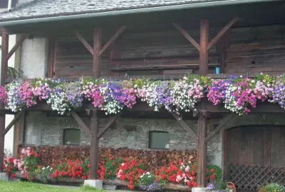 Dollach Austria
