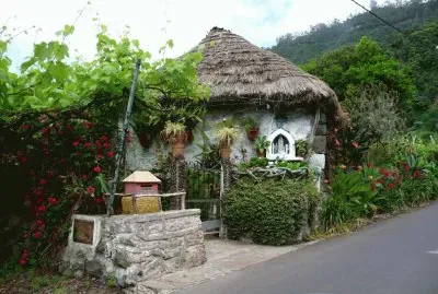 Madeira  Santana