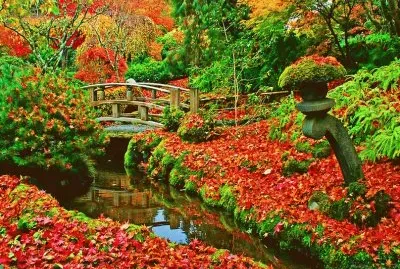 פאזל של maravillas