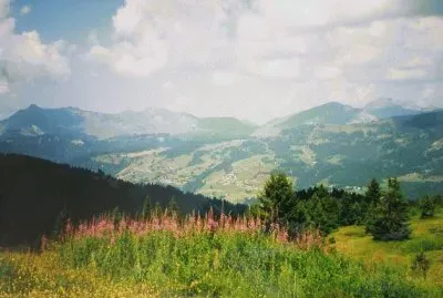 MARSU
