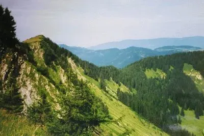 MARSU