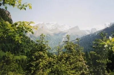 MARSU