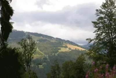 MARSU