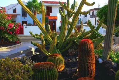 Along the Street  Tunesia