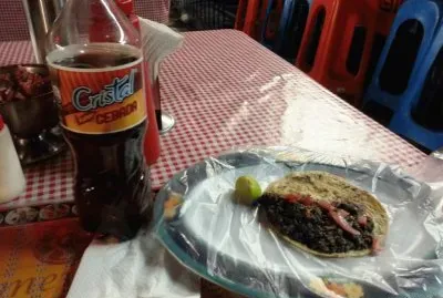 tacooos  joveeen