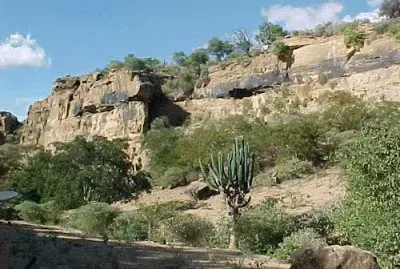 Raso da Catarina