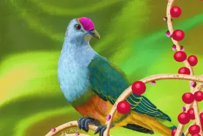 Colorful Drawing