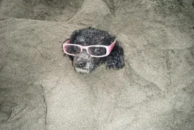 matatena en vacaciones