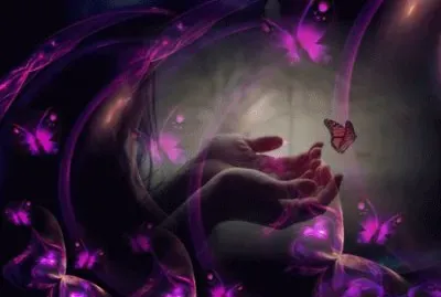 Beautiful Spirit of Butterflies